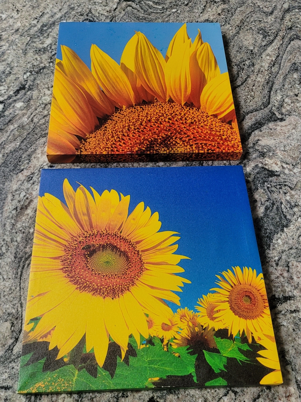 Vintage Sunflower Wall Art - Yellow and Blue